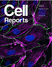 Cell Reports