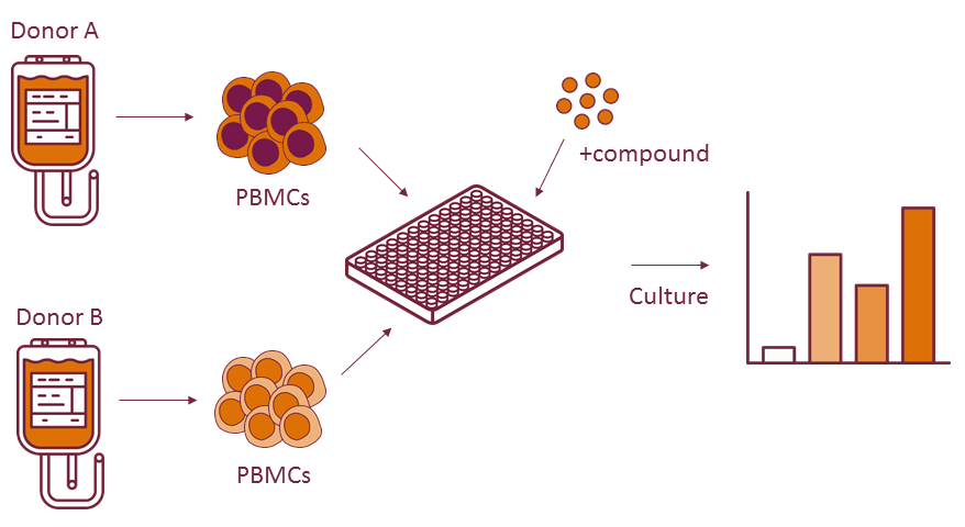 nyse Har lært lukke Mixed lymphocyte reaction