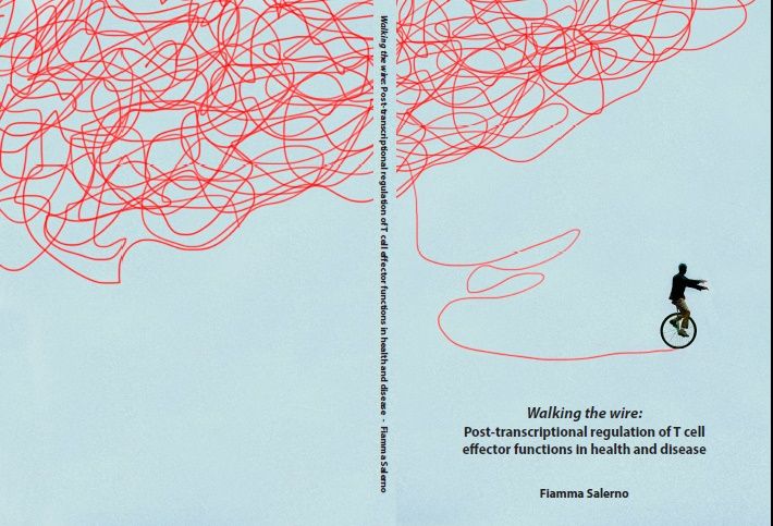 cover thesis Fiamma Salerno