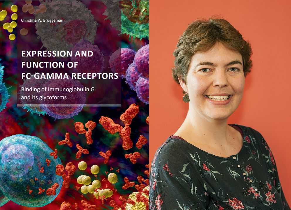 Christine hiemstra phd thesis