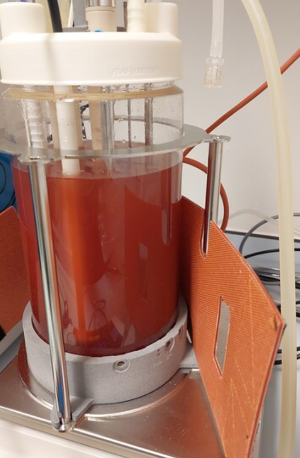 bioreactor