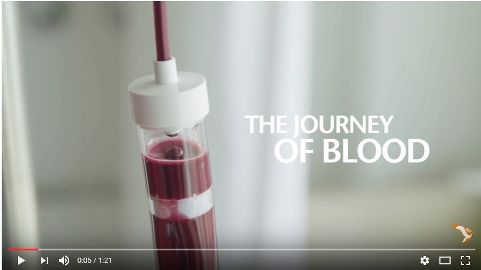 The journey of Blood -Sanquin